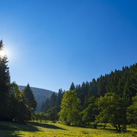 The Conscious Farmer Bed And Breakfast Sauerland Willingen  Extérieur photo