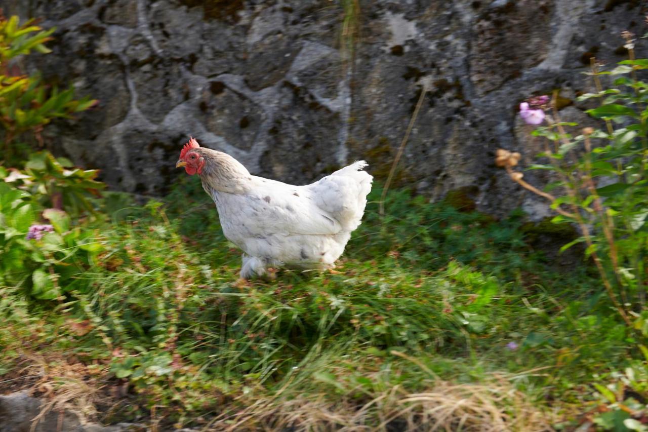 The Conscious Farmer Bed And Breakfast Sauerland Willingen  Extérieur photo