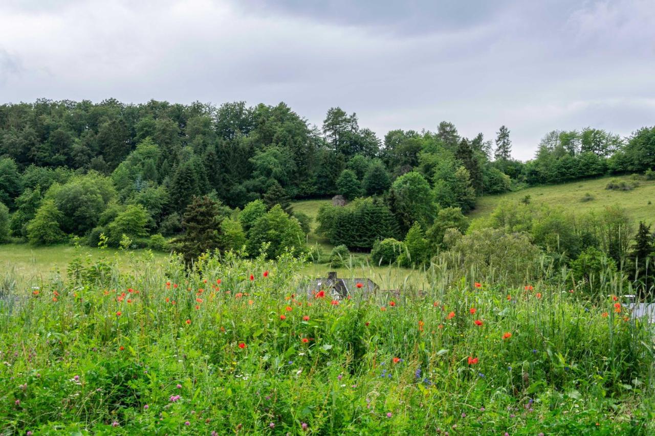 The Conscious Farmer Bed And Breakfast Sauerland Willingen  Extérieur photo