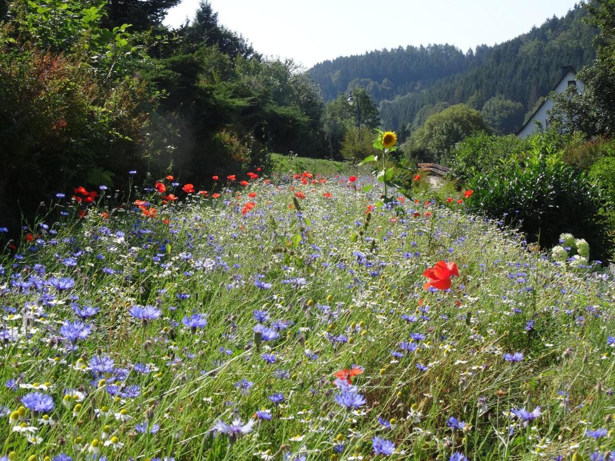 The Conscious Farmer Bed And Breakfast Sauerland Willingen  Extérieur photo