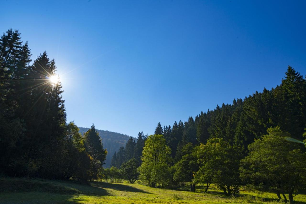 The Conscious Farmer Bed And Breakfast Sauerland Willingen  Extérieur photo