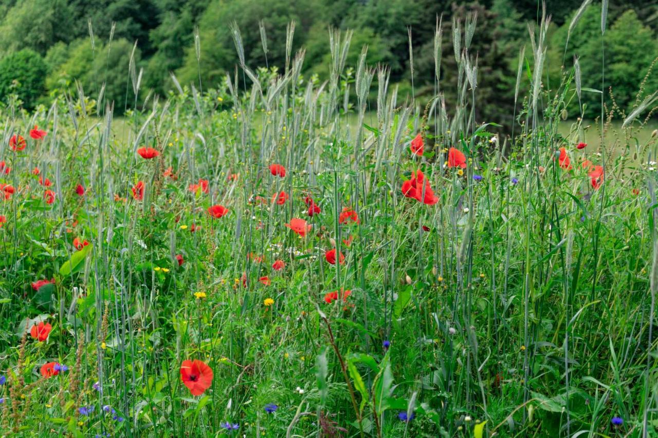The Conscious Farmer Bed And Breakfast Sauerland Willingen  Extérieur photo